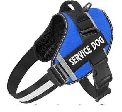 Medium and Large Dog Leash with Chest Strap Vest