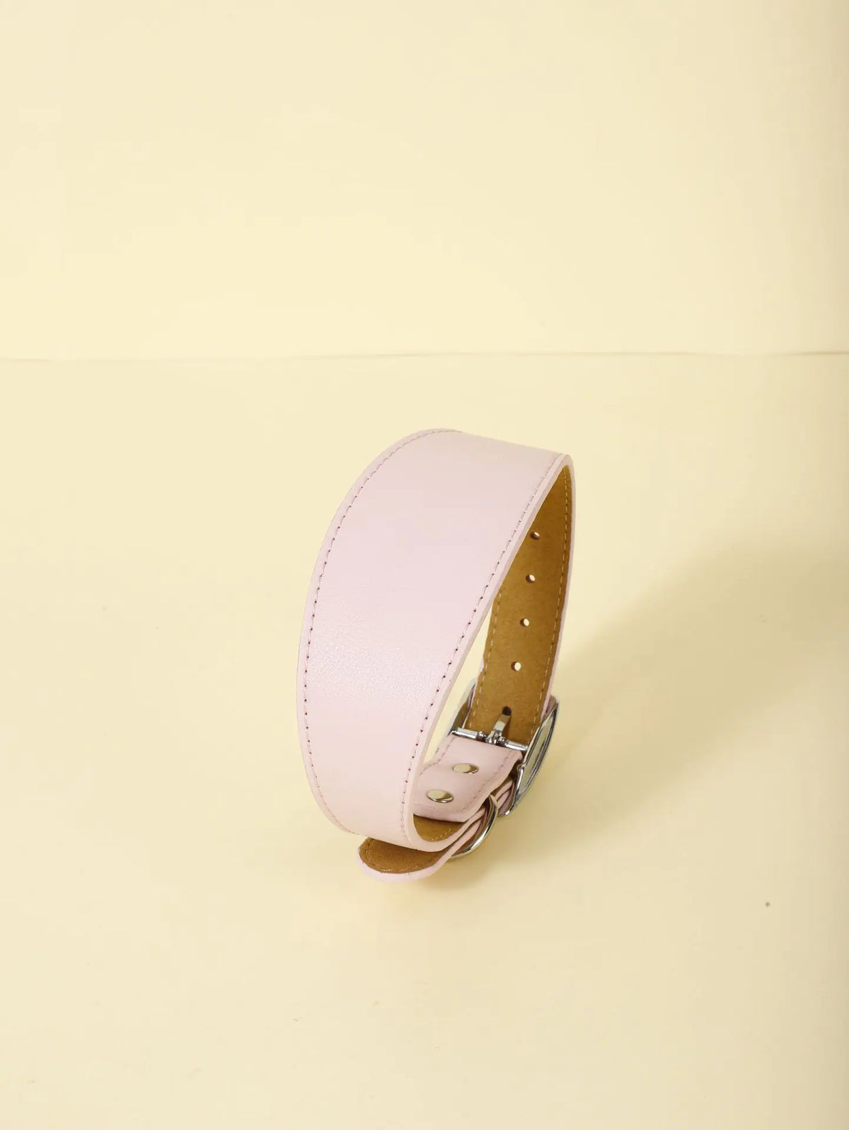 Fashion-Fit Pet Collar