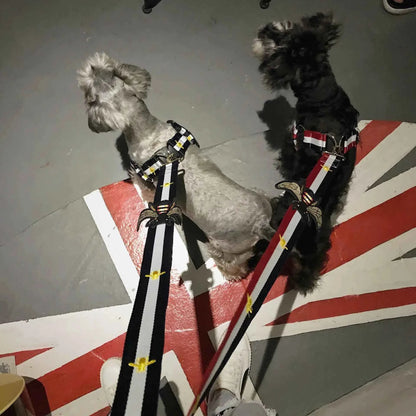 Trendy Pet Harness and Leash for Dogs of All Sizes