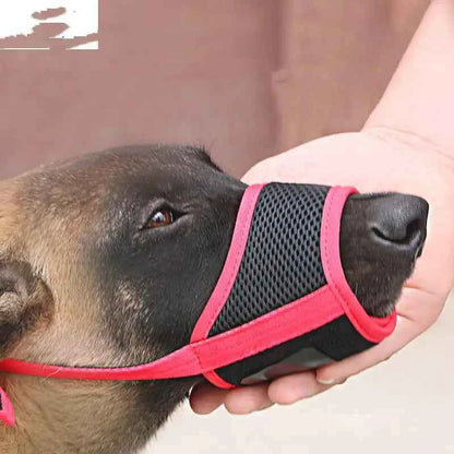 Mouth Cover for Large Labrador Dog to Prevent Eating