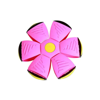 Magic Flying Disc Flying Saucer Ball - AnimalKingdom