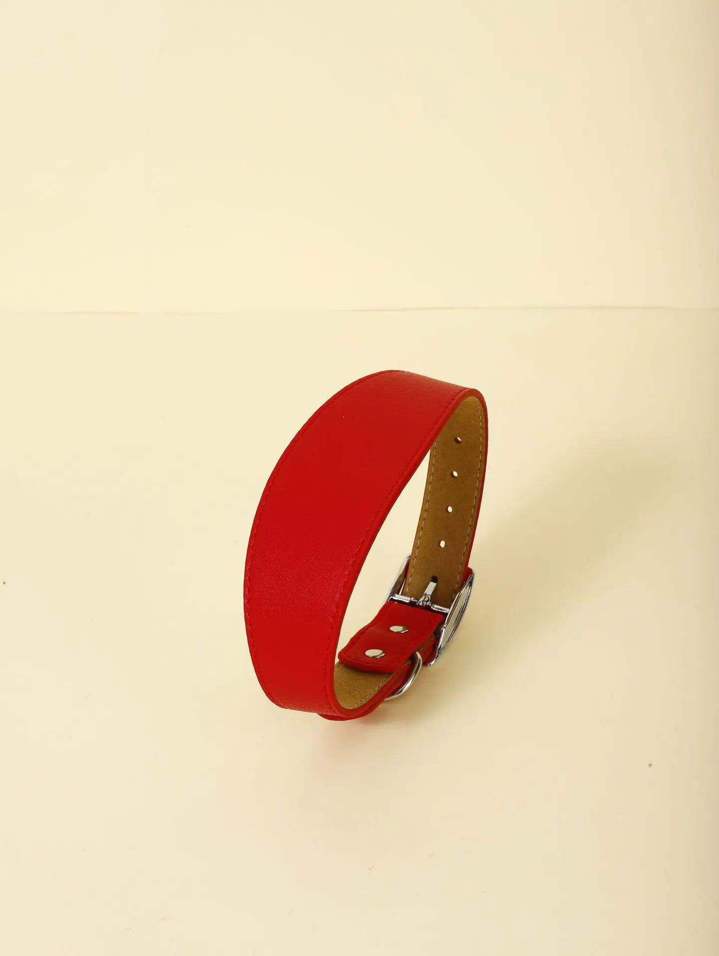 Fashion-Fit Pet Collar