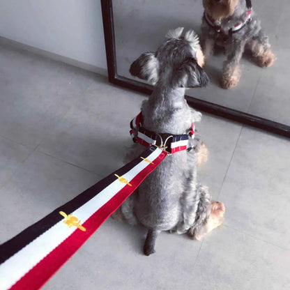 Trendy Pet Harness and Leash for Dogs of All Sizes