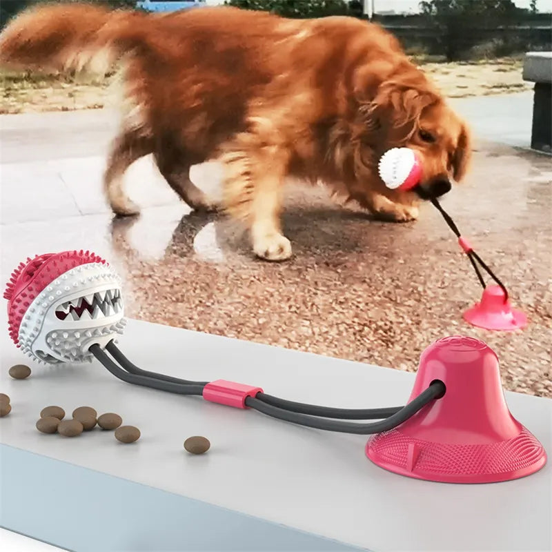Suction Ball Interactive Dog Toy - AnimalKingdom