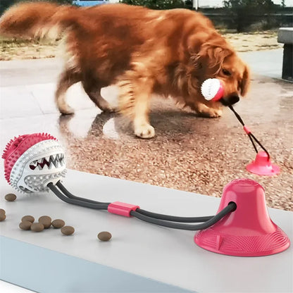 Suction Ball Interactive Dog Toy - AnimalKingdom
