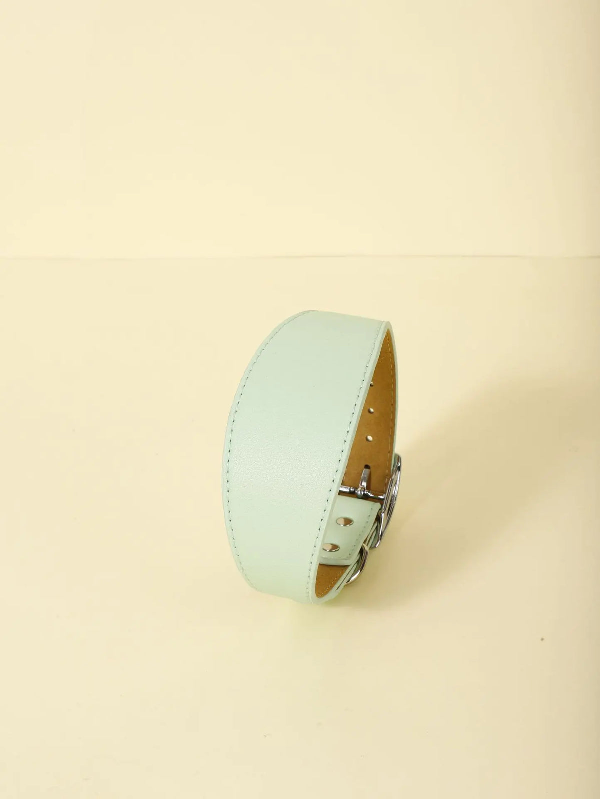 Fashion-Fit Pet Collar