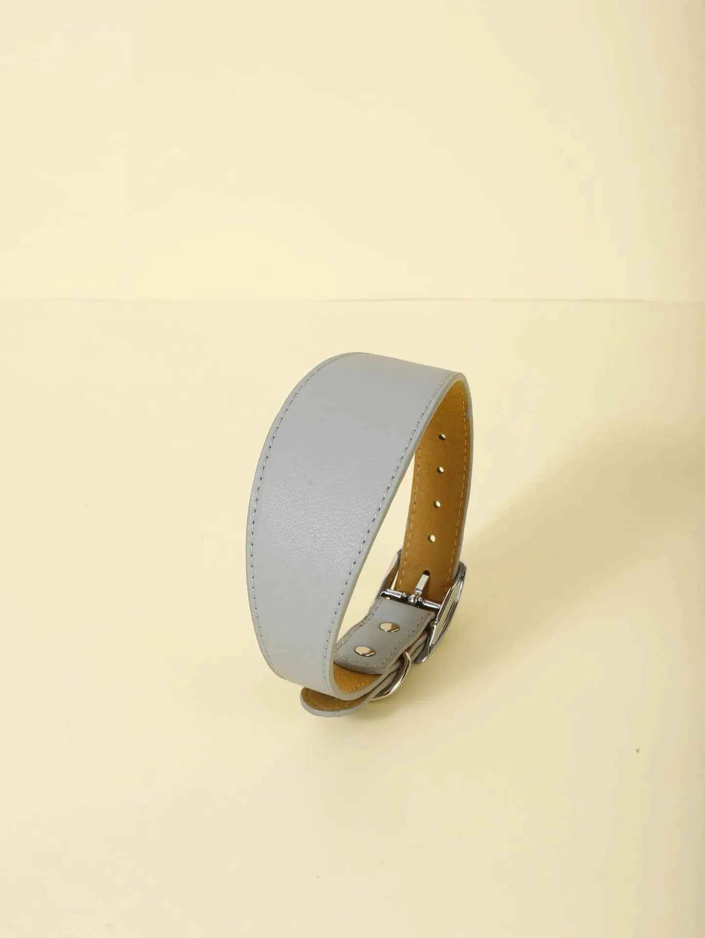 Fashion-Fit Pet Collar