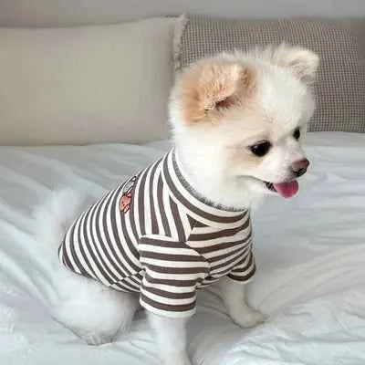 Chic Summer Canine Apparel