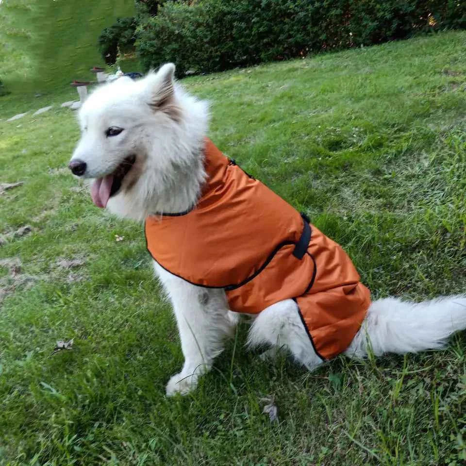 Pet Outdoor Jacket for Autumn/Winter Sports Activities