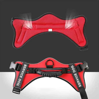 Medium and Large Dog Leash with Chest Strap Vest