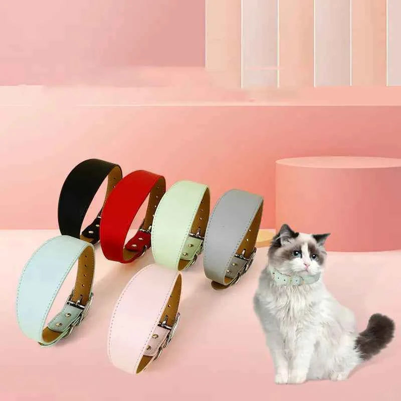 Fashion-Fit Pet Collar