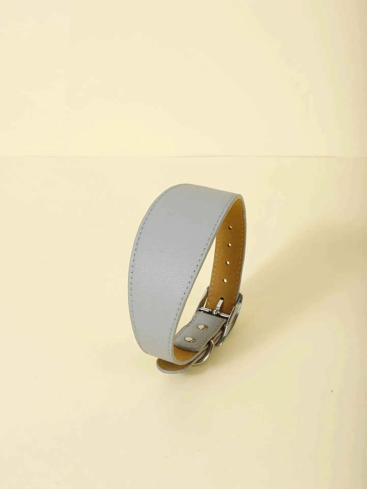 Fashion-Fit Pet Collar