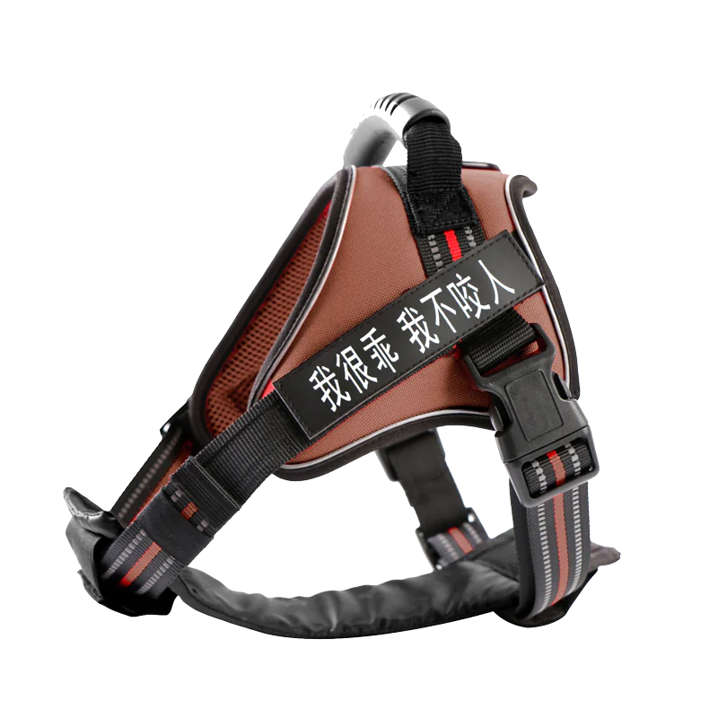 Elegant Bowtie Dog Leash & Harness TM