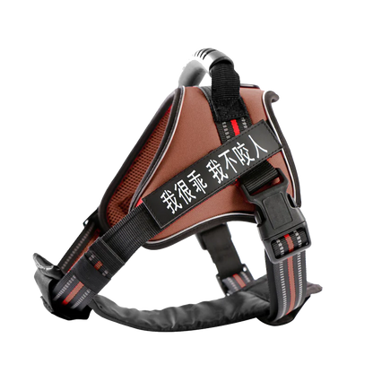 Elegant Bowtie Dog Leash & Harness TM