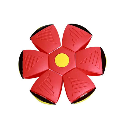 Magic Flying Disc Flying Saucer Ball - AnimalKingdom