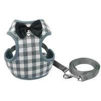 Dog Leash with Checkered Bowtie Harness for Pets