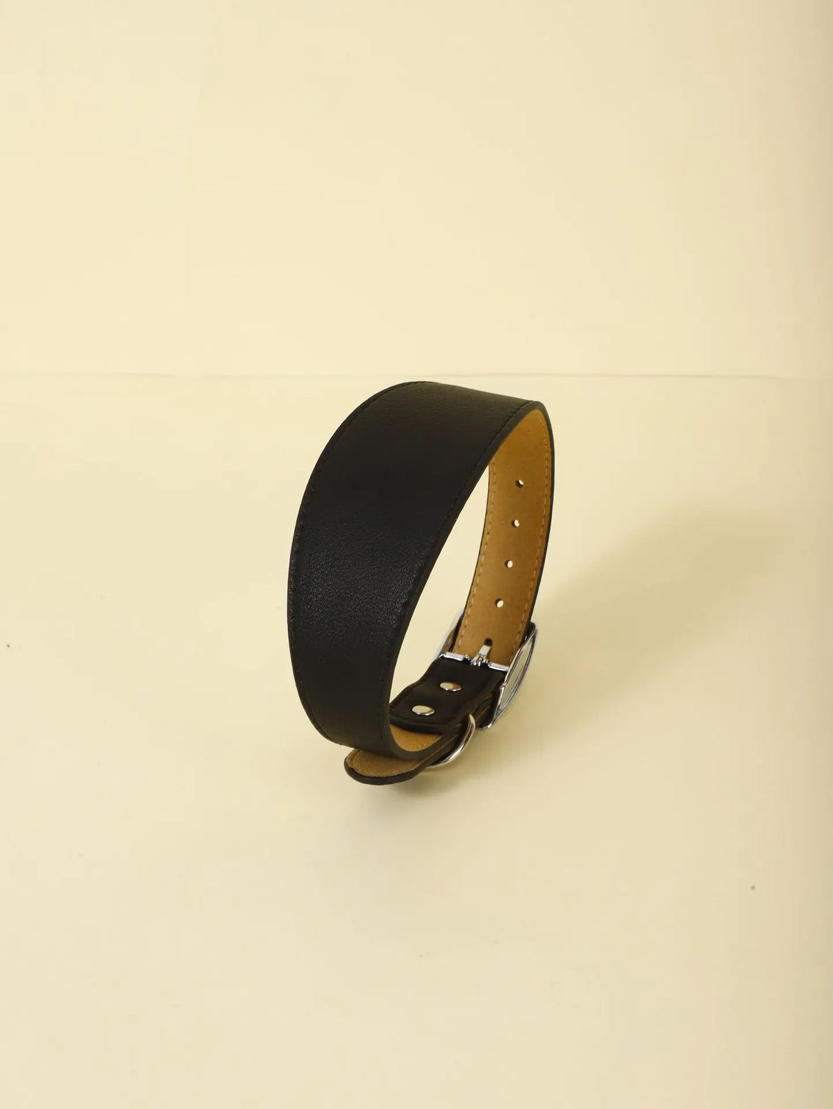 Fashion-Fit Pet Collar