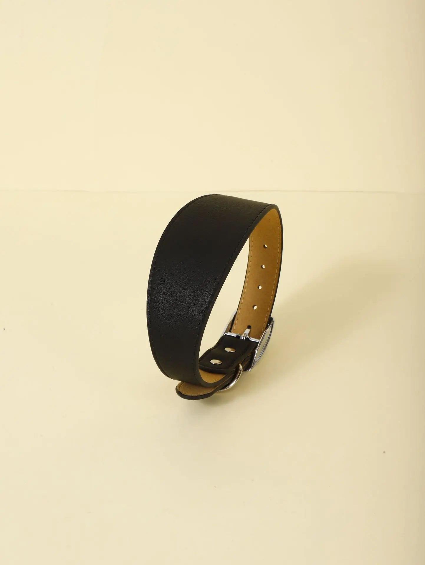 Fashion-Fit Pet Collar