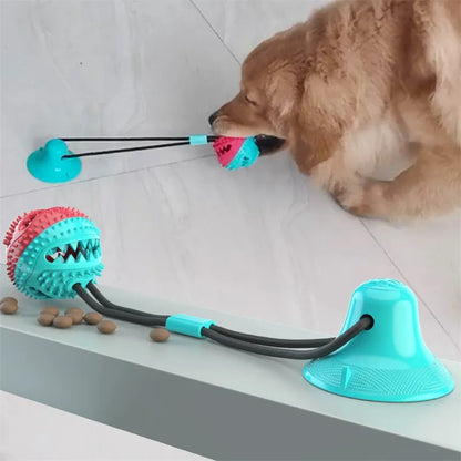 Suction Ball Interactive Dog Toy - AnimalKingdom