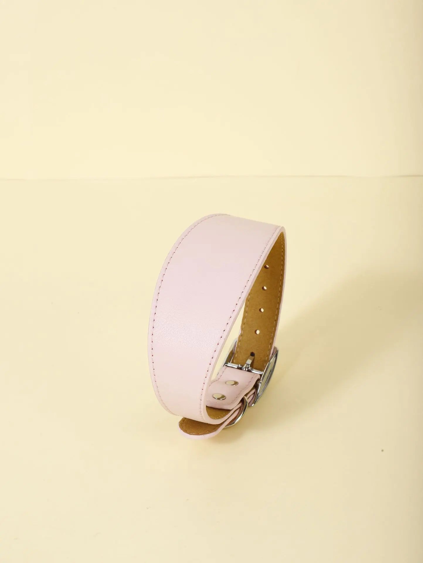 Fashion-Fit Pet Collar