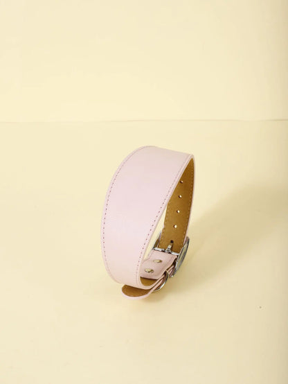Fashion-Fit Pet Collar