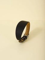 Fashion-Fit Pet Collar