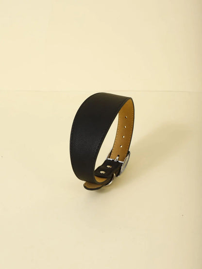 Fashion-Fit Pet Collar