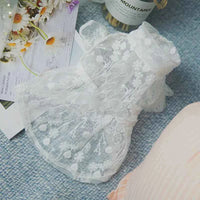 Lace Sunscreen Skirt for Dogs and Cats