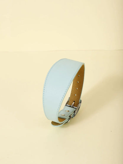 Fashion-Fit Pet Collar