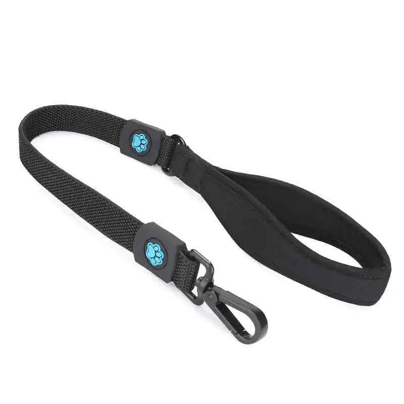 High Elastic Leash for Small to Large Dogs